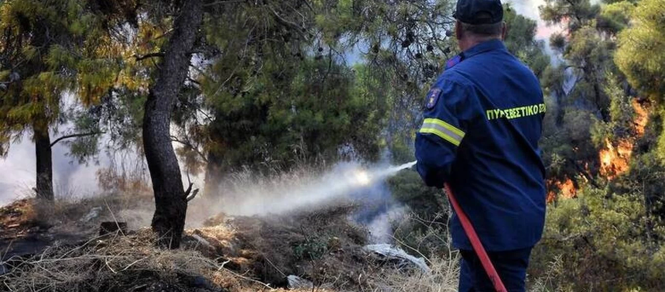 Φωτιά σε δασική έκταση στον Αλμυρό Μαγνησίας